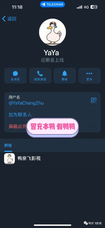 鸭部落官方公告