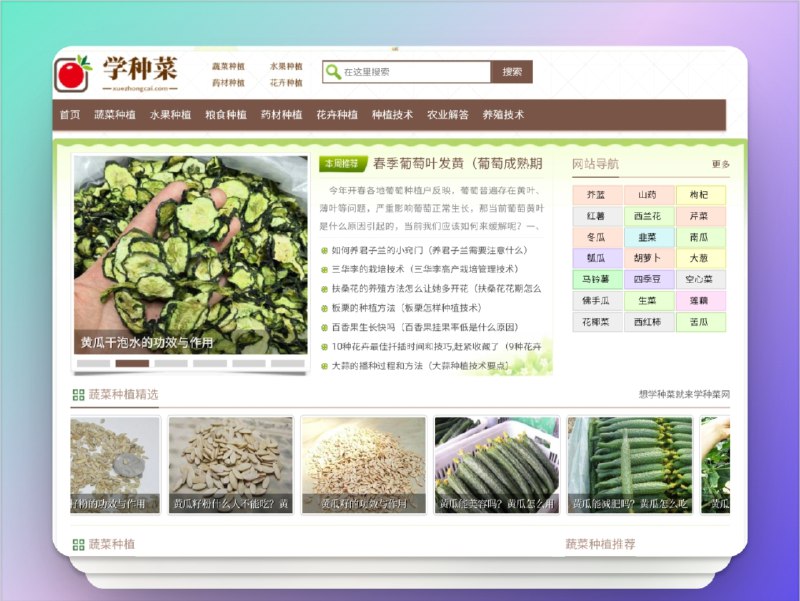 🔖 学种菜 | 零基础学种植的知识宝库　涵盖蔬果花药等多类作物的种植方法与管理要点，包含施肥、防虫、繁殖、养护经验等实用技巧，新手也能一看就懂、一试就会　谁说种菜难？从点开这个网站开始简单了📬 学种菜标签