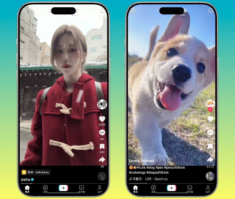 Tiktok | v39.0.3 抖音国际版 解锁全部国家任意切换版+视频去水印+去广告+高度自定义功能 🏬 38.7.0 Mod | 🖥 v39.0.3 Mod平台