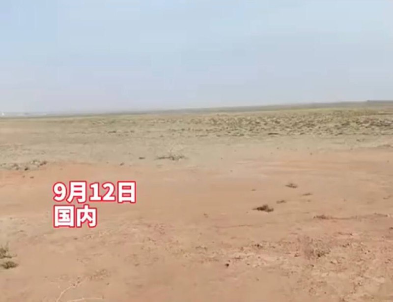 蚂蚁森林种植区一片荒芜？ 蚂蚁官方回应