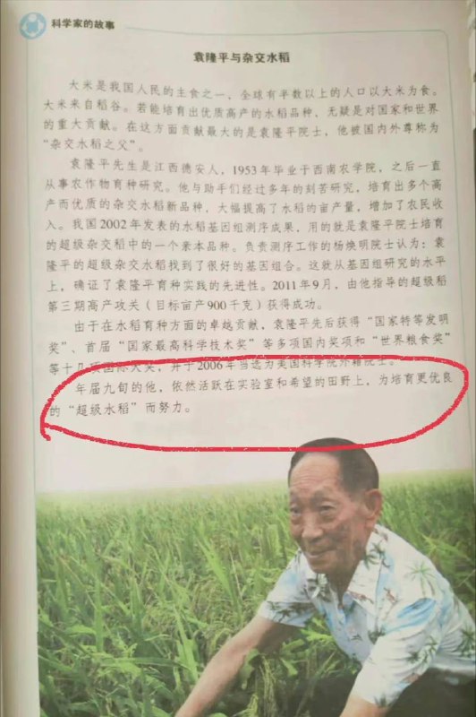 袁隆平 与杂交水稻，令人泪崩的新版教材