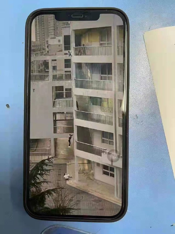 #江苏 启东市一小学三名六年级女生坠楼👮🏻‍♂️公安