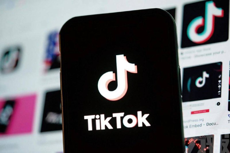 国内应用小红书登顶美国 App Store | 因原美国政府先前对Tiktok公司通过的这一项法案的确定🔍 简讯摘要