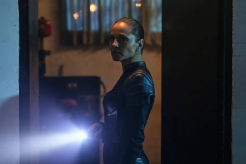 Netflix玛格丽塔·列维耶娃主演的8集剧《冷战余谍 In From the Cold》发布正式预告剧集讲述女主（Margarita Levieva饰）正与女儿在欧洲度假，此时CIA的出现迫使她面对自己隐藏已久的KGB身份