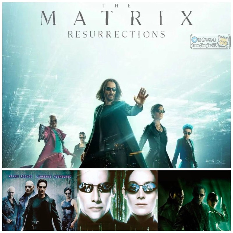 #电影资讯 👈🏻查看更多12月22号黑客帝国