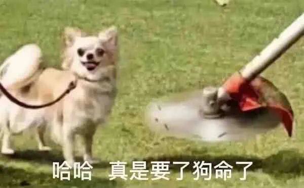 #怪奇物语 第四季S01-07集更新为