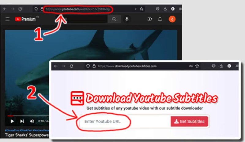 📹 Youtube ▎轻松免费下载Youtube字幕🗣️👥【支持平台】