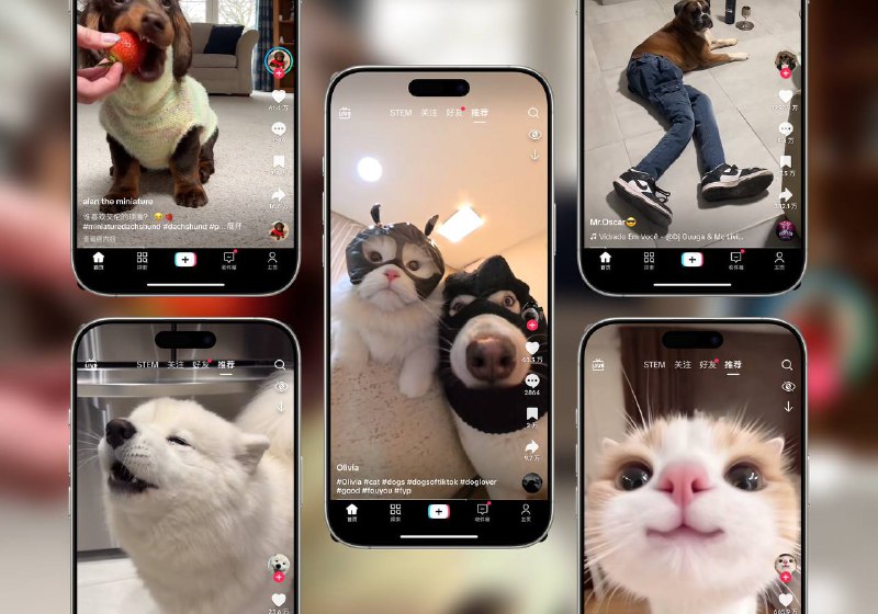 Tiktok | v39.7.6 抖音国际版 解锁全部国家任意切换版+视频去水印+去广告+高度自定义功能🖥 39.7.6 Mod⚠️ 登录不上的看这里平台
