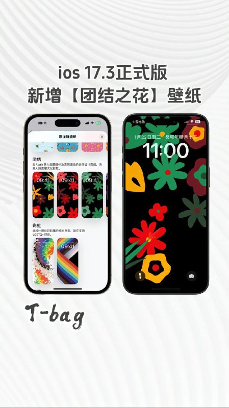 #iOS 17.3 正式版推送！防窃防盗功能再次升级！推荐所有iOS17用户升级！#iOS 17.3 正式版推送！防窃防盗功能再次升级！推荐所有iOS17用户升级！