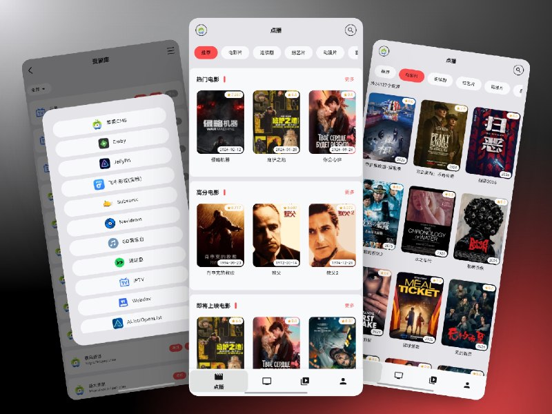 ✈️ Cinetry | 全能音视频播放器， 支持 Jellyfin、Emby、IPTV、Webdav 等数十种数据源导入🏷 检索标签