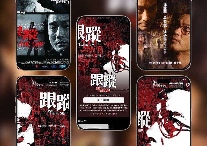 经典港片 《 跟踪》（2007）4K 港版 原盘国粤双语简繁中字讲述刑事情报科跟踪队追踪珠宝劫匪陈重山的故事