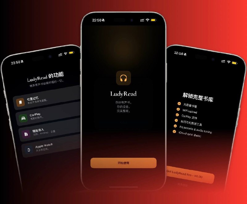 ✈️ LudyRead | 给本地有声书单独做的播放器🏷 检索标签
