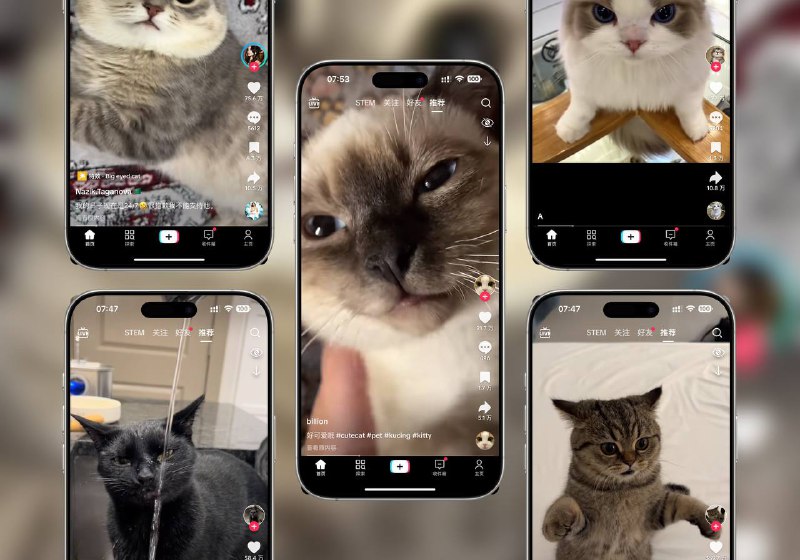 Tiktok | v39.3.3 抖音国际版 解锁全部国家任意切换版+视频去水印+去广告+高度自定义功能 🏬 39.3.0 Mod | 🖥 39.3.3 Mod⚠️ 登录不上的看这里平台