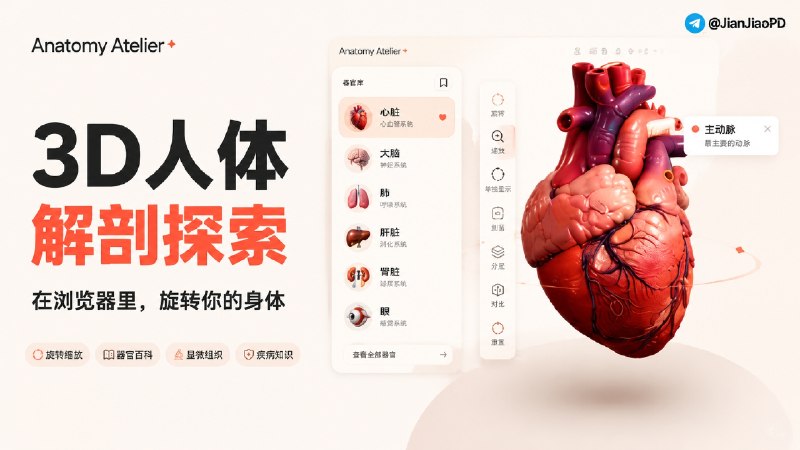 ✈️ Anatomy Atelier | 一个可以在浏览器里查看人体器官的 3D 解剖工具🏷 检索标签